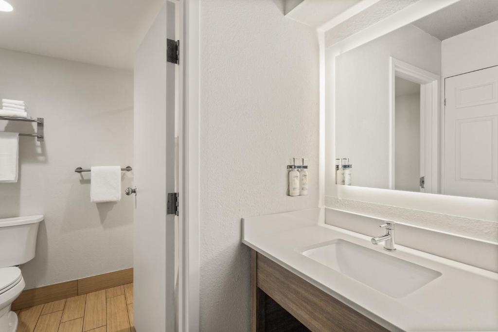 Holiday Inn Tampa Westshore - Airport Area, an IHG Hotel - 