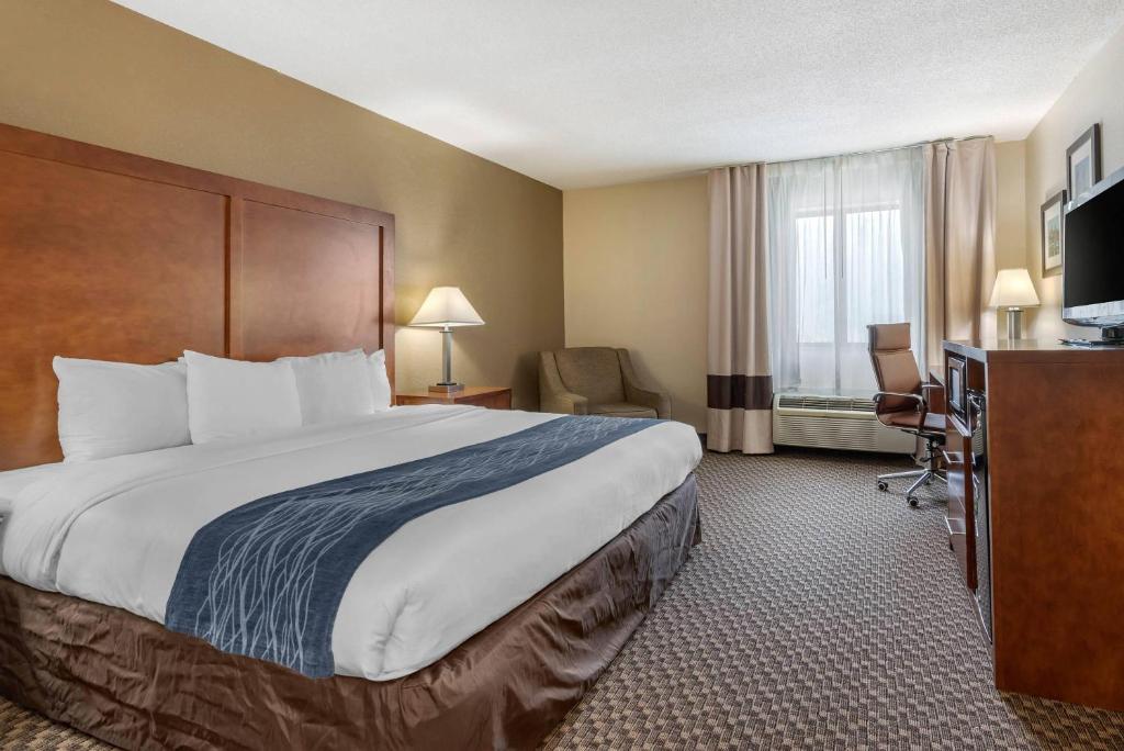 Comfort Inn South - 