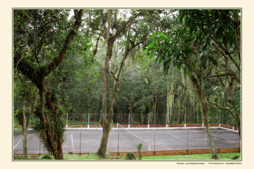 Tenis a/nebo squash v ubytování Hotel Campestre Los Arrayanes nebo okolí