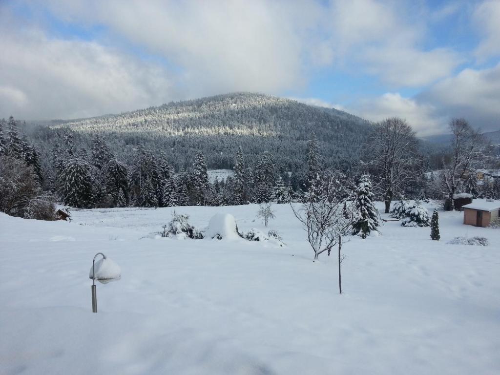 B&B Chalet l'Epinette - 10