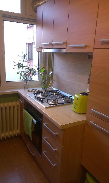 Kuchyň nebo kuchyňský kout v ubytování Green Apartment