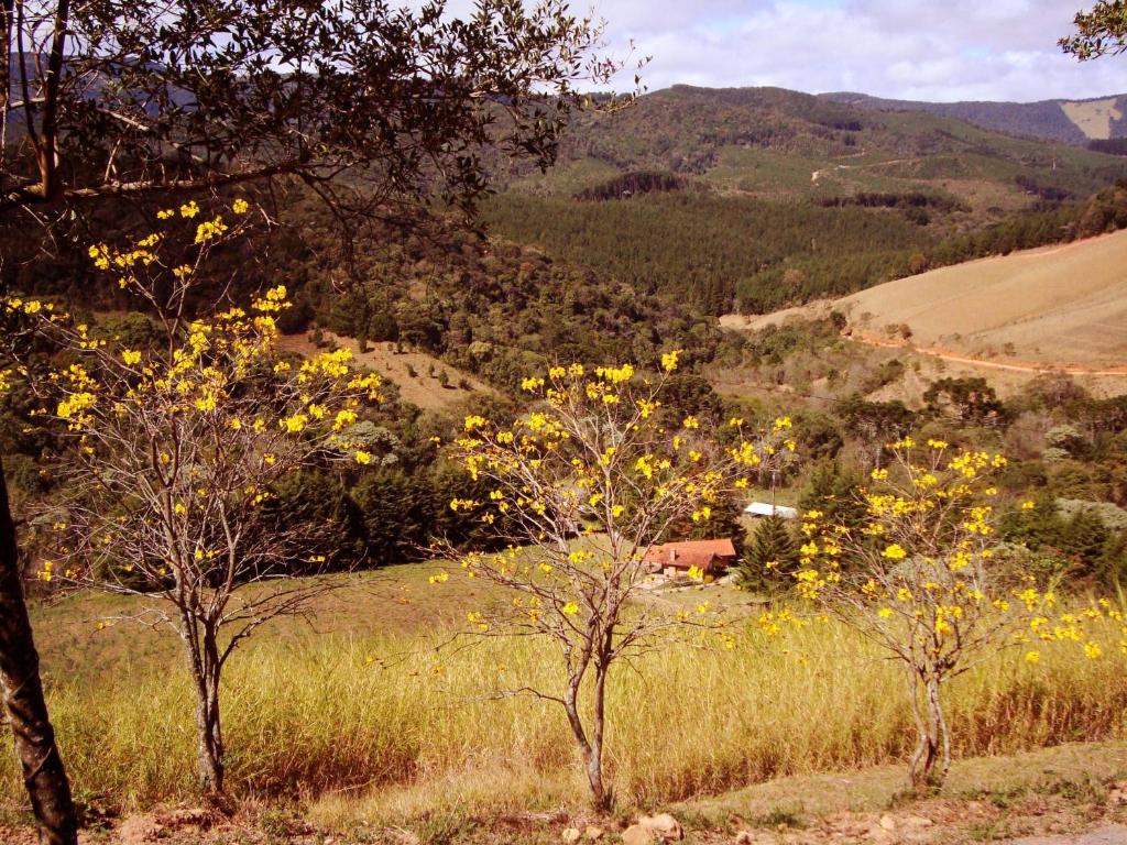  Chales Estrada de Chão