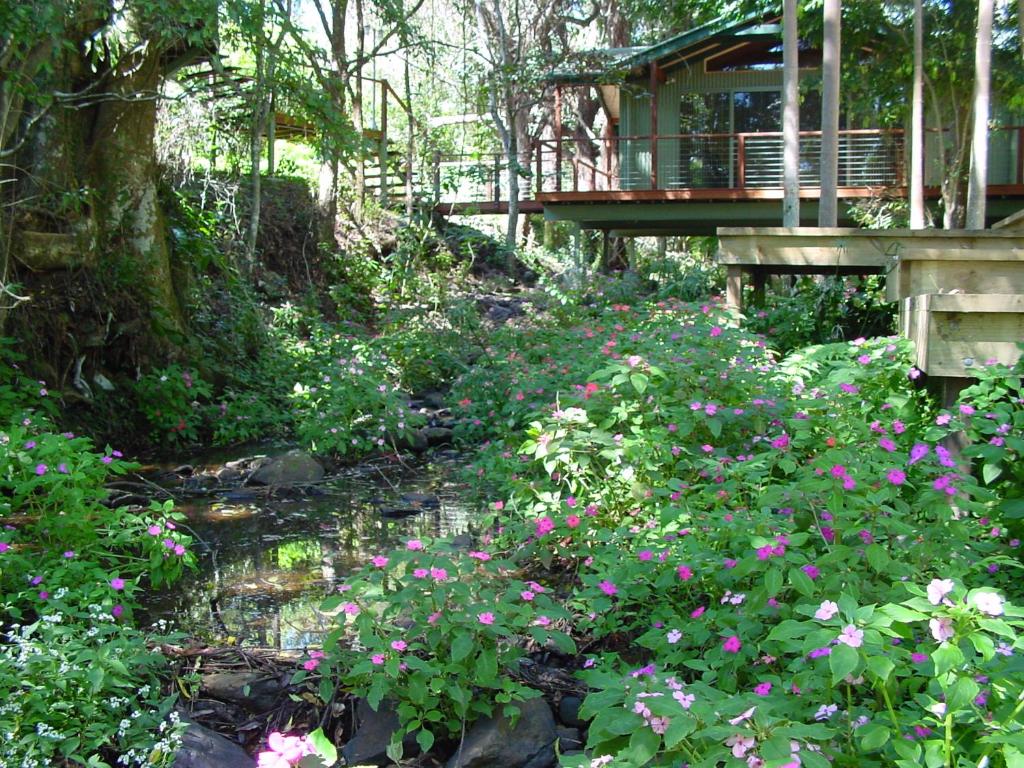 einen Garten mit rosa Blumen und einer Brücke in der Unterkunft Treetops Montville in Montville