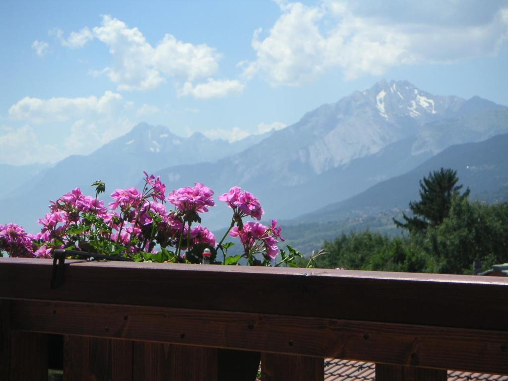Fotografie z fotogalerie ubytování Chalet des Alpes v destinaci Crans-Montana