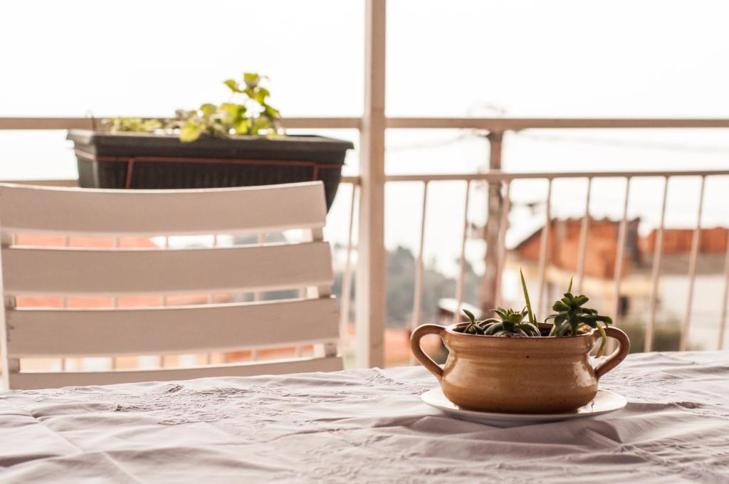 una planta en una olla sentada en una mesa junto a una silla en Apartments Gaga, en Ulcinj