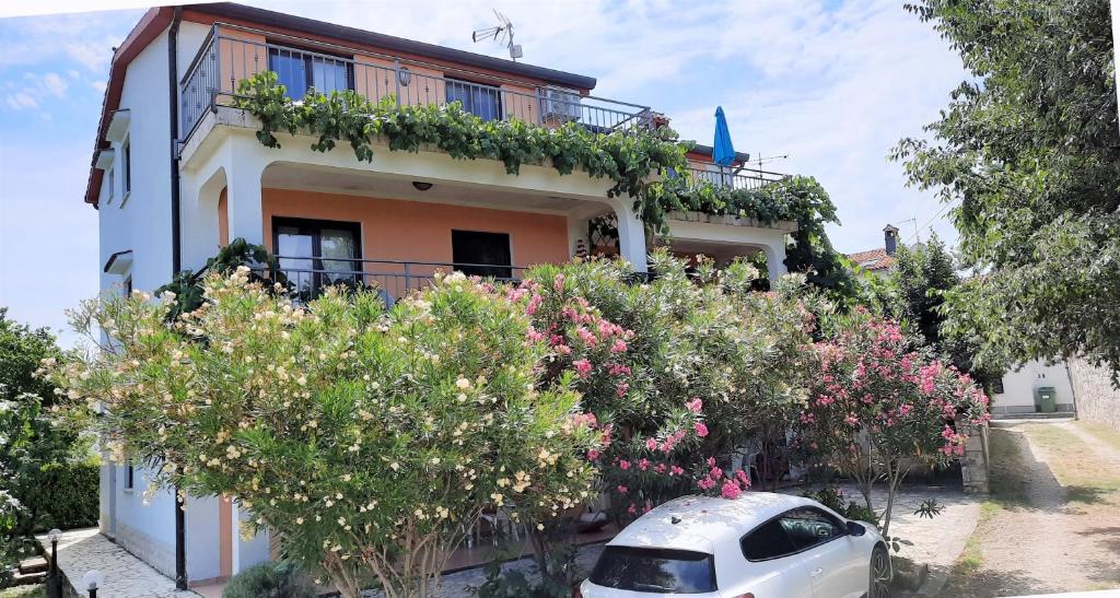 Apartments Coki