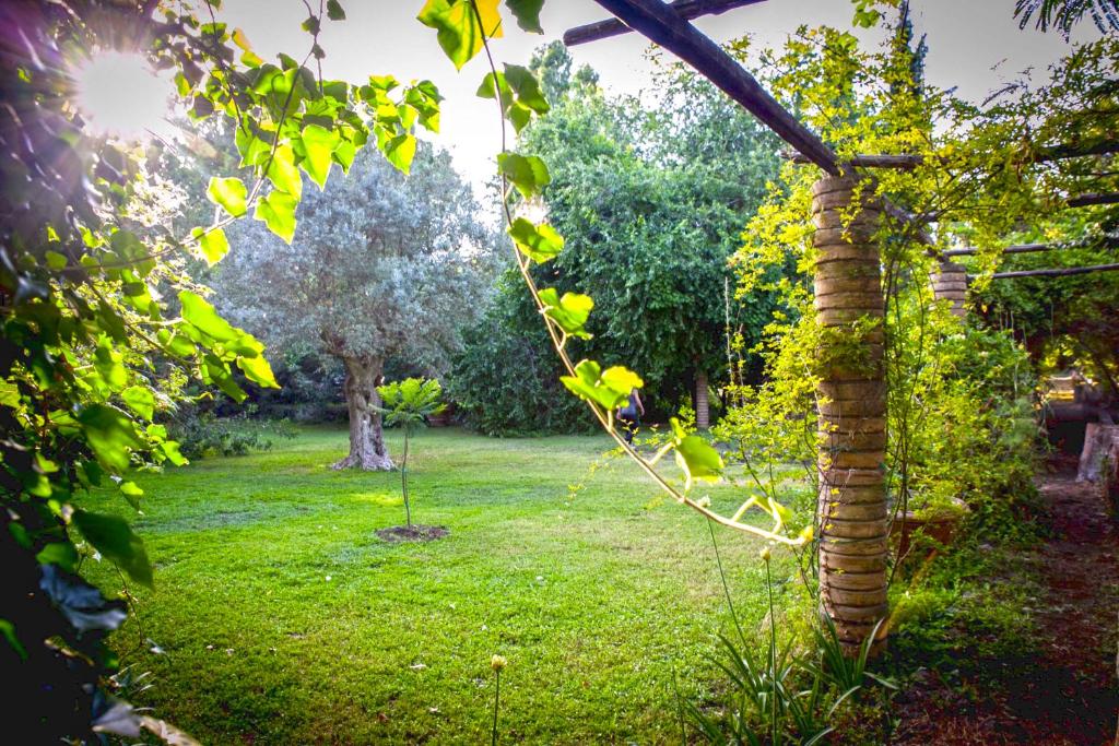 A garden outside Etna Botanic Garden