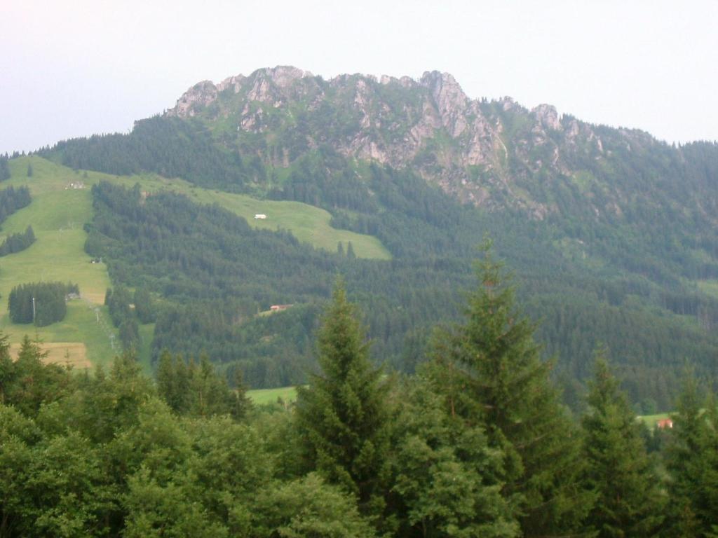 Příroda nedaleko hotelu