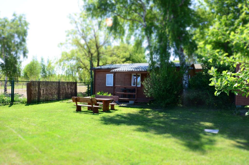 Róża Wiatrów - 10