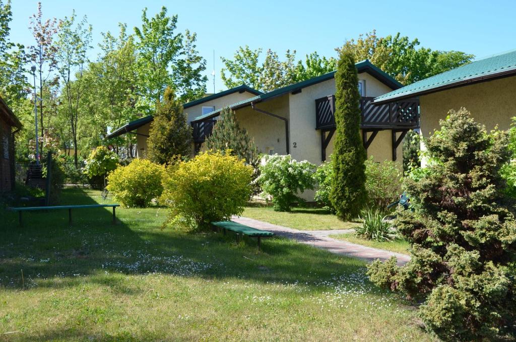 Róża Wiatrów - 11