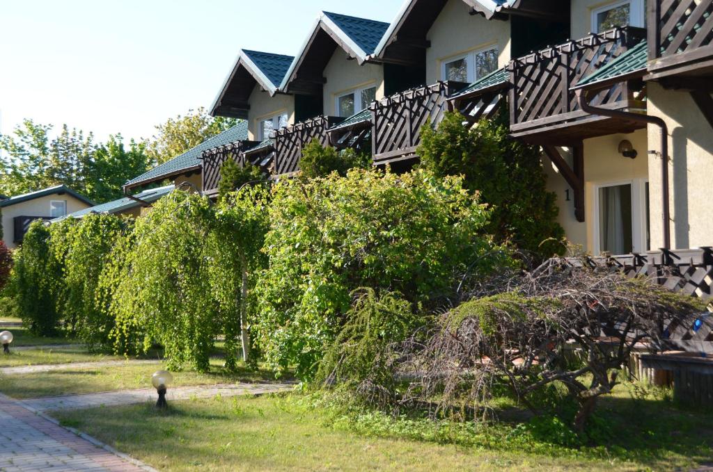 Róża Wiatrów - 12