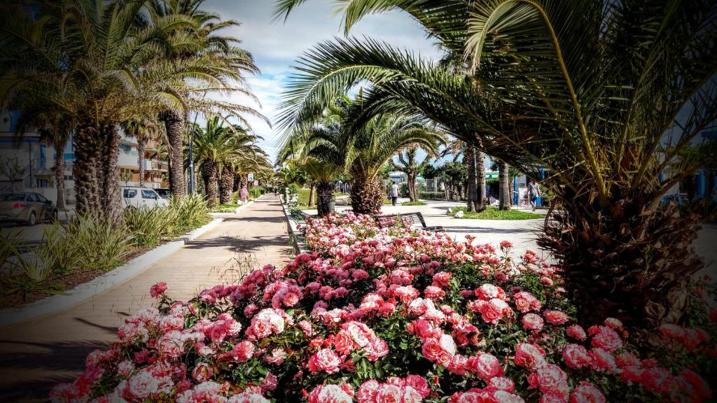 a bunch of pink flowers on a sidewalk with palm trees at Petit Hotel in San Benedetto del Tronto