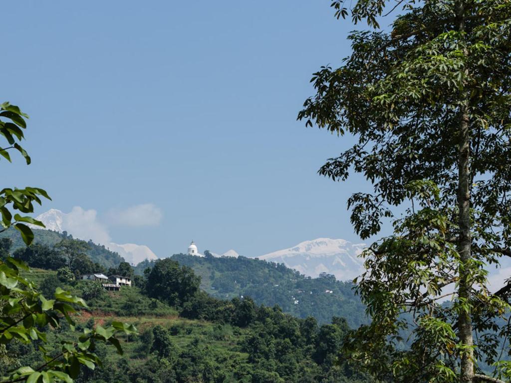 Vista generica sulle montagne o vista sulle montagne dall'interno dell'hotel