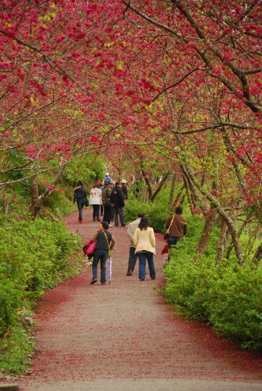 Hosté ubytování Qingshan Homestay