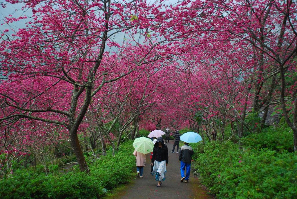 Hosté ubytování Qingshan Homestay