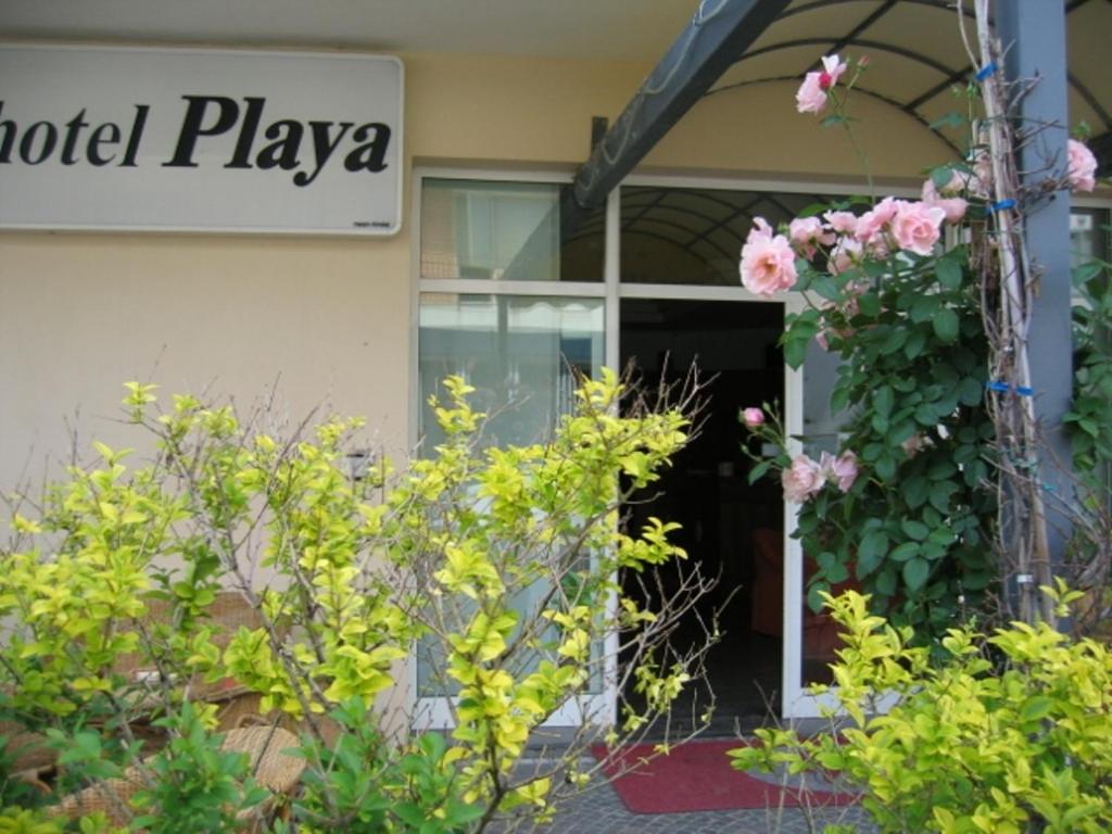 Zahrada ubytování Hotel Playa