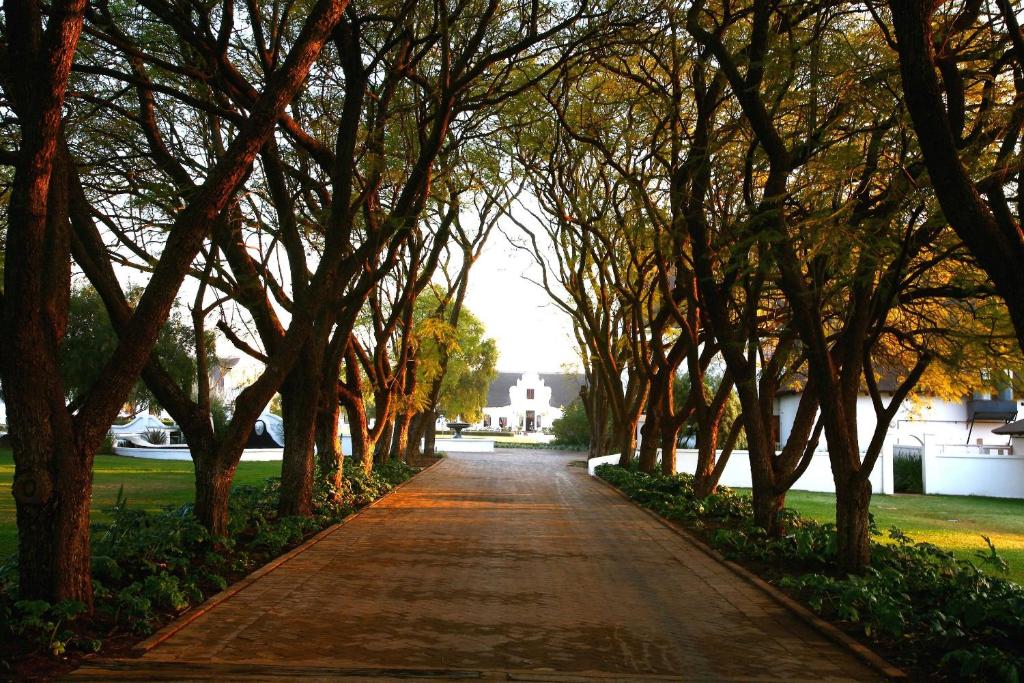 Une route bordée d'arbres avec un tas d'arbres dans l'établissement Kievits Kroon Gauteng Wine Estate, à Pretoria