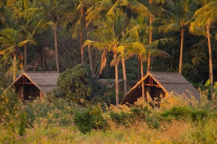 a couple of houses in a field with palm trees at Simbamwenni Lodge and Camping in Morogoro