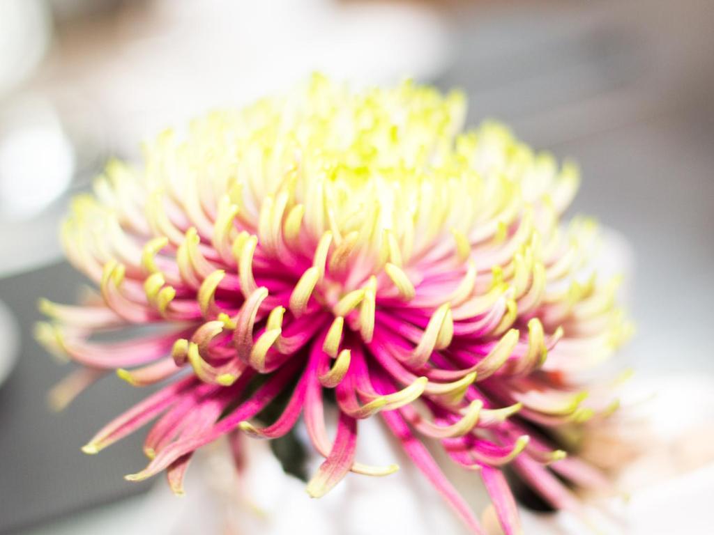 Galerie Hotel Dis - Resim 35