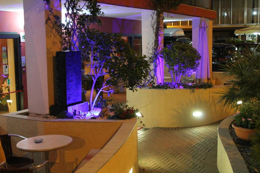 Fotografie z fotogalerie ubytování Hotel Oblio v Rimini