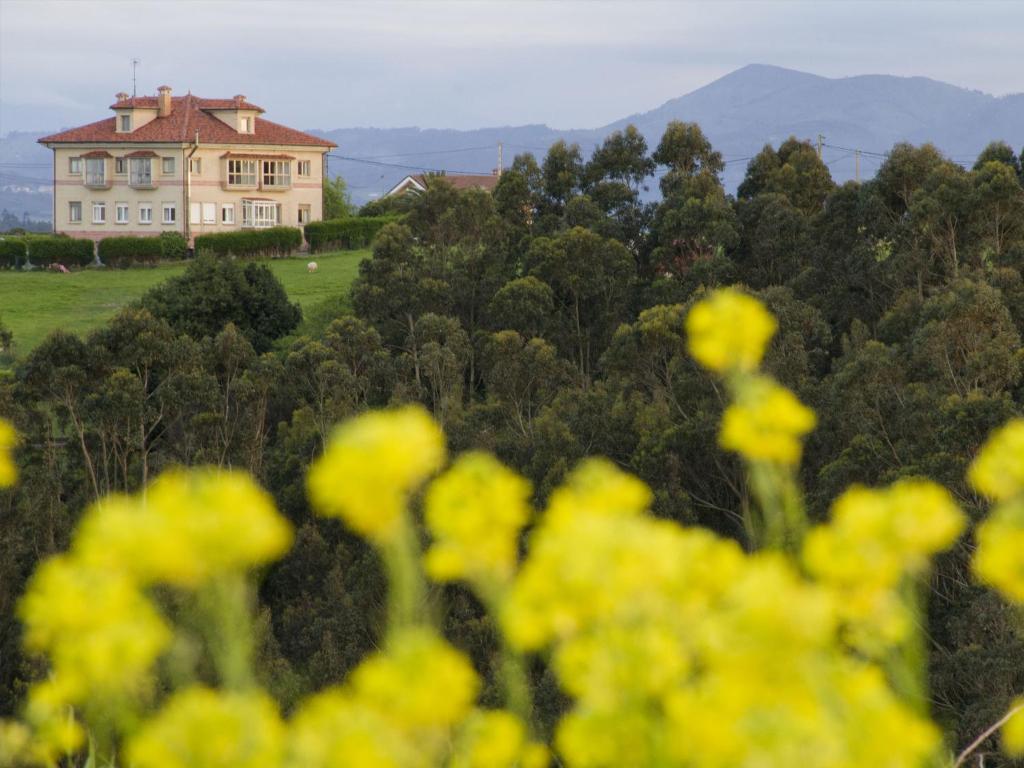 a house in the middle of a field with yellow flowers at Alojamientos Mirapeñas in El Campo