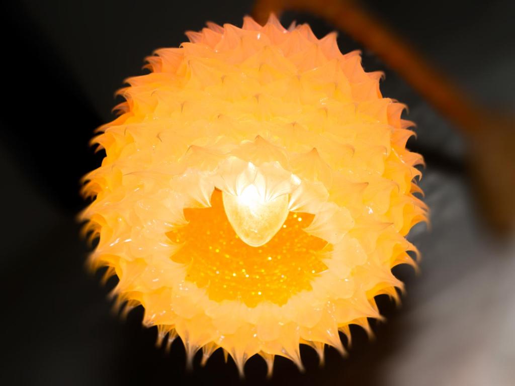 Galerie Hotel Dis - Resim 40