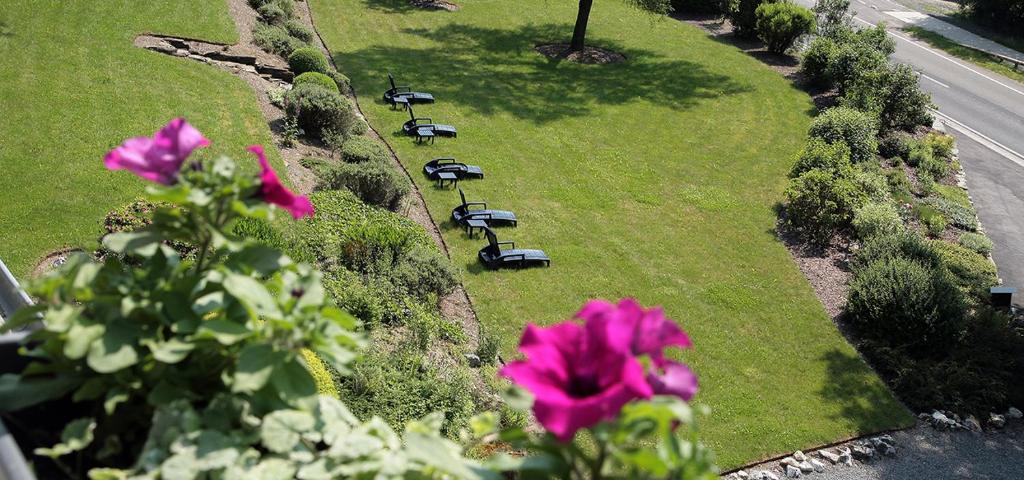 Zahrada ubytování Hotel Auberge D'Alle