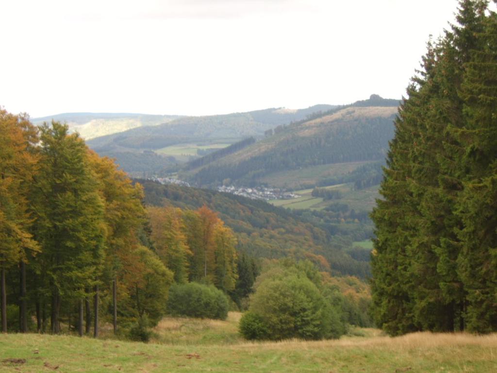 Příroda nedaleko apartmánu