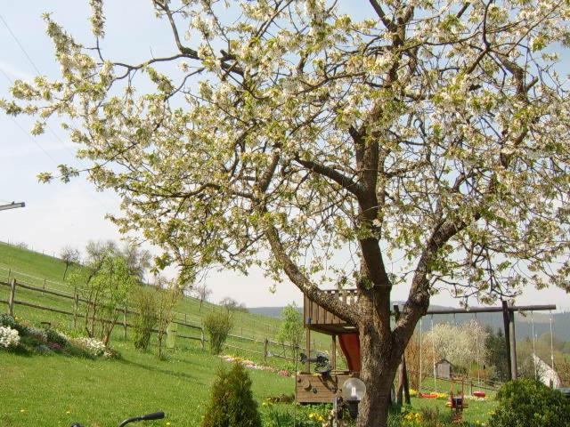 Zahrada ubytování Haus Cristallo