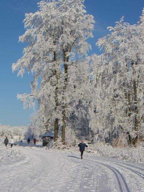Haus Cristallo v zimě