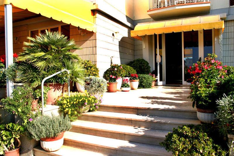 Zahrada ubytování Hotel Alk