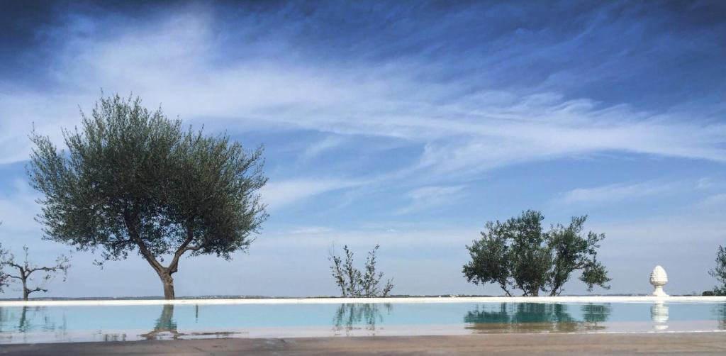 アルベロベッロにあるTrulli Resortの青空のプール