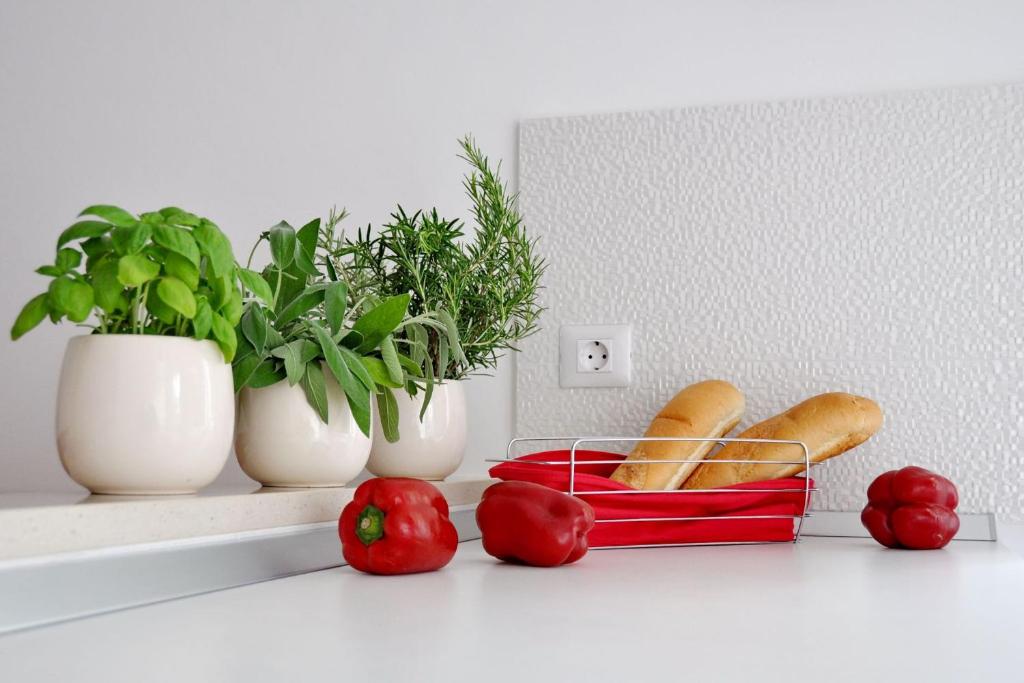 Fotografia z galérie ubytovania Luxury New !!! Apartment One and Only with terrace & free bikes v Poreči