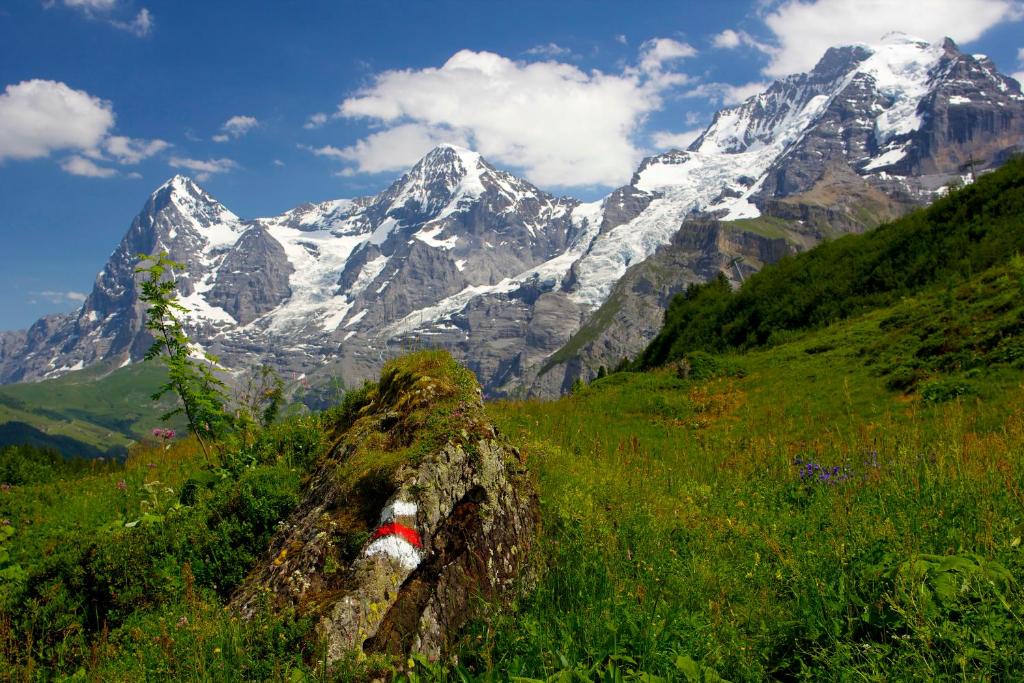 Paesaggio naturale nelle vicinanze dell'affittacamere