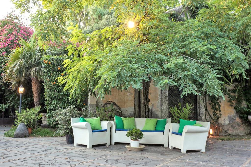 A garden outside Etna Botanic Garden