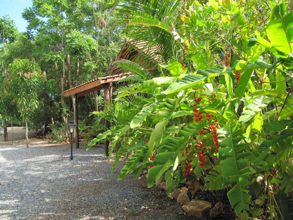  Eco Pousada Villa Verde