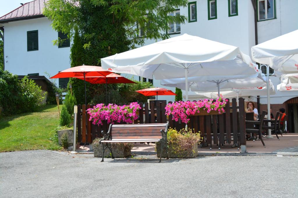Zahrada ubytování Gasthof Sonne