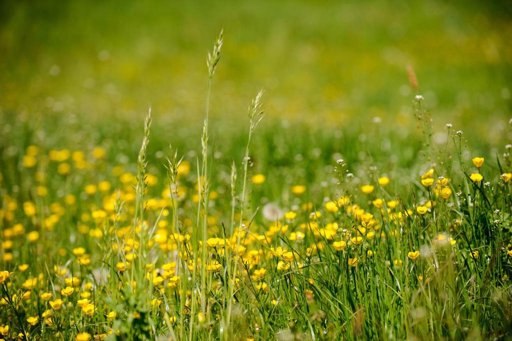 "Innsbruck Moments" Kasperhof Appartements - 9