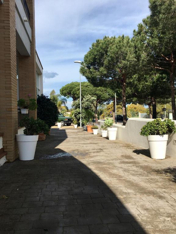 a sidewalk with white potted plants next to a building at Hotel Marisma Sancti Petri in Chiclana de la Frontera