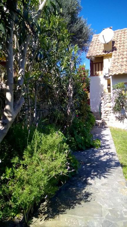 a path to a house with trees and a building at Casas El Suspiro in Zahora