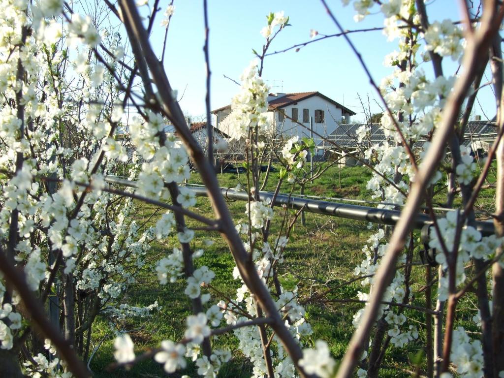 Zahrada ubytování Agriturismo Il Marrugio