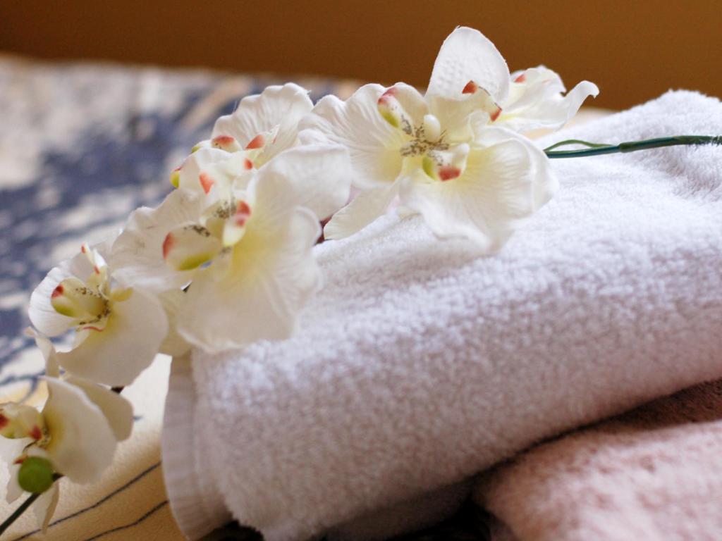 a bunch of white flowers sitting on top of a towel at Siebers-Ferienwohnung in Saupsdorf