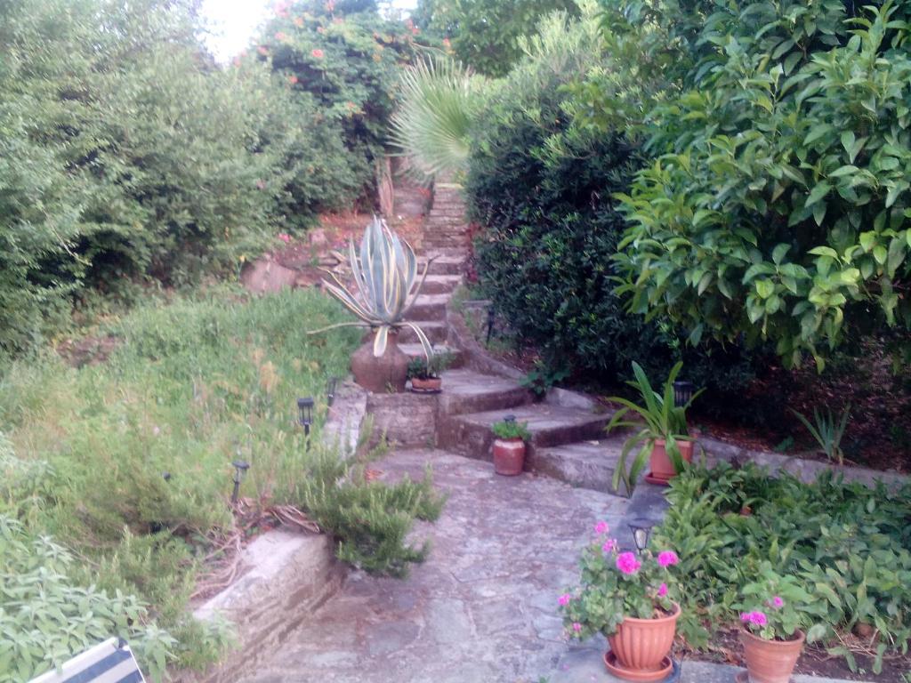 Zahrada ubytování Nightingale Cottage Pelion