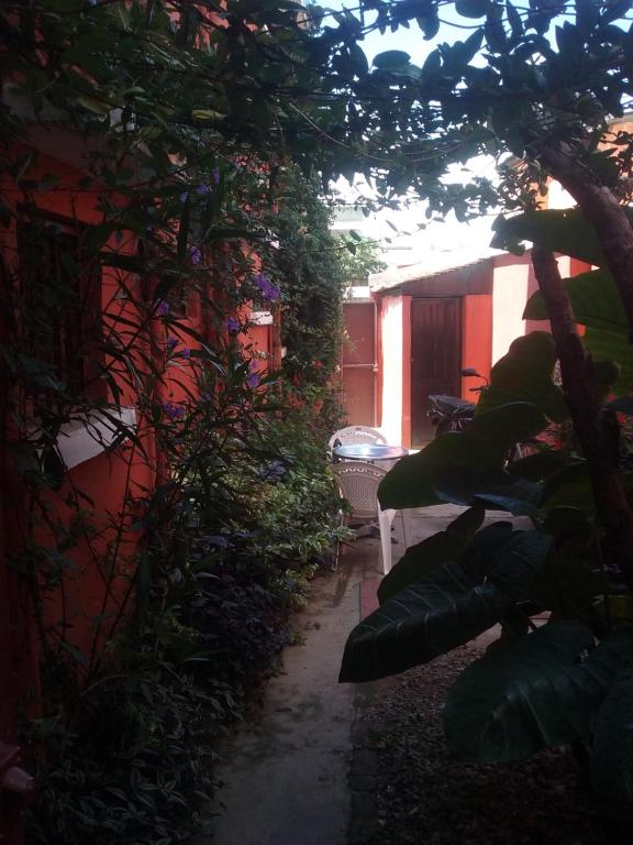 Ivato的住宿－K6 Chambres d'Hôte，一个带长凳的小花园和一座建筑