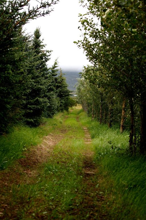 Paisagem natural perto of the country house
