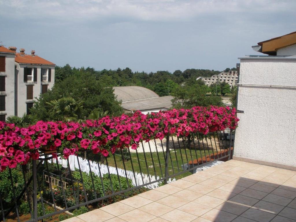 Ogród w obiekcie Apartments Timi