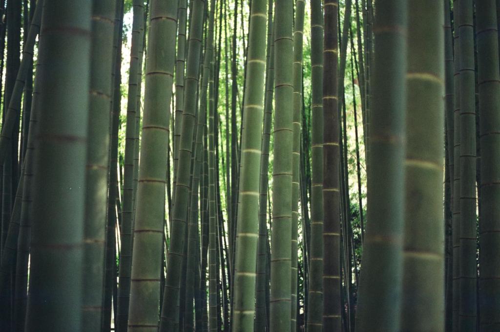 Fotografie z fotogalerie ubytování Plage Yuigahama v destinaci Kamakura