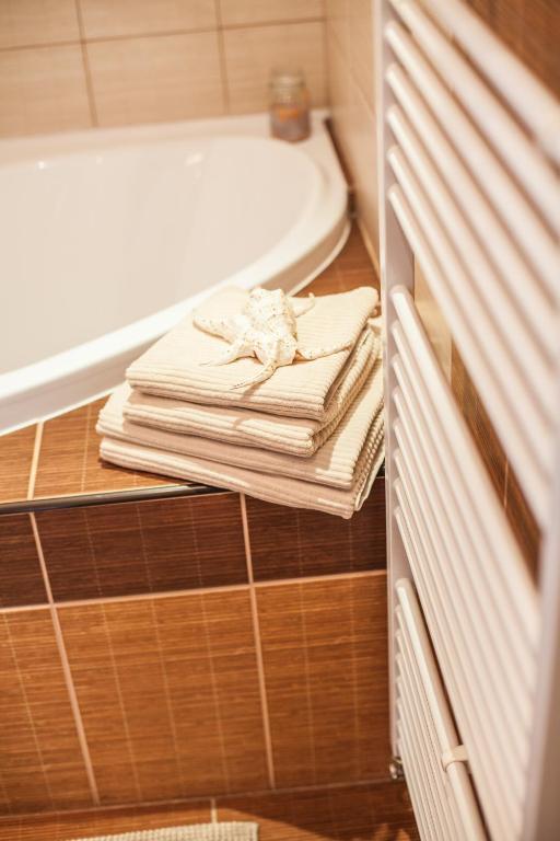 Koupelna v ubytování Apartmány U Červeného stromu