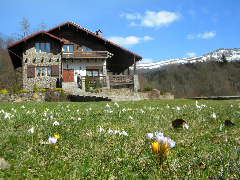a house in a field with flowers in front of it at Chalet Kukavica in Zhdenievo