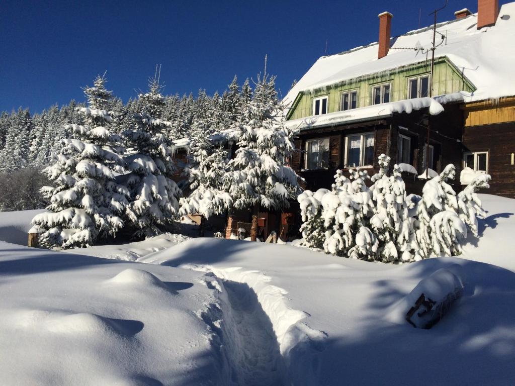 ホルニー・マラー・ウーパにあるHorský Wigwam Geronimoの雪に覆われた木々の家